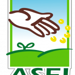 portada-1-LOGo-asei